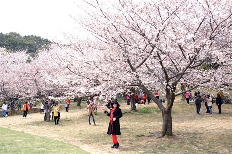 上方山|上方山国家森林公园